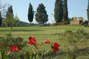 Top Grosseto