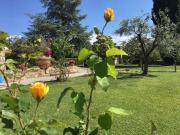 Top San Casciano in Val di Pesa