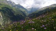 Top Matrei in Osttirol