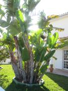 Top Lagoa de Albufeira