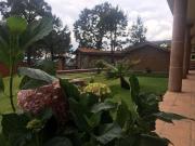 Top Tlaxco de Morelos