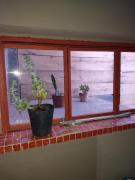 Top Puerto Pirámides