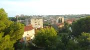 Central Panoramic