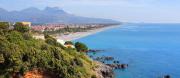 Top Scalea
