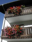 Top Ortisei