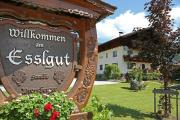 Top Haus im Ennstal