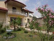 Alexs Guest House