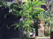 Top Ubud