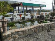 Top Checheng