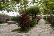 Top Tivat Top Tivat