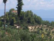 Top Vounaria