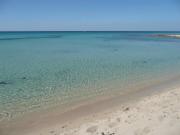 Top Punta Prosciutto