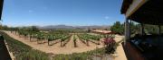Top Valle de Guadalupe