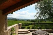 Top Buzet