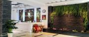Top Phnom Penh