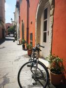 Top Milazzo
