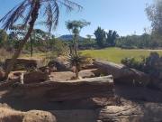 Top Beerwah
