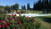 Top Grosseto
