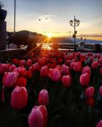 Top Santa Margherita Ligure