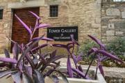 Top Todi