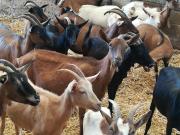 Top San Pancrazio Salentino