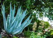 Villa Eliodora - due appartamenti