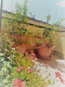 Top Matera