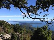Top Mali Lošinj