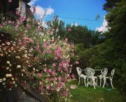 Top Frutillar Top Frutillar