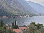 Top Kotor