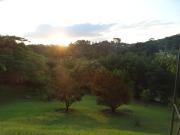 Top Campo Limpo