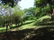 Top Campo Limpo