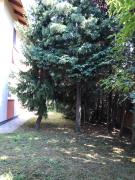 Top Hévíz Top Hévíz