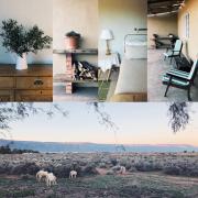 Top Calvinia Top Calvinia