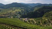 Top Oberkirch
