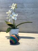 Top Thessaloniki Top Thessaloniki