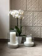 Top Civitanova Marche