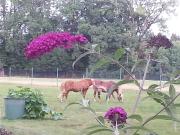 Top Gmund am Tegernsee