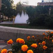 Top Belgrade
