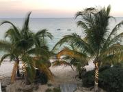 Top San Benito