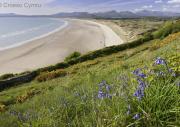 Top Barmouth