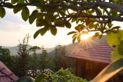 Top Balik Pulau