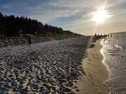 Top Karwia Top Karwia