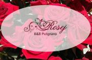 Rosej Bed & Breakfast Putignano