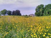 Castletownmoor Clinic & Permaculture Farm