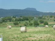 Appartamento a 1000 metri