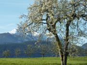 Appartamento a 1000 metri