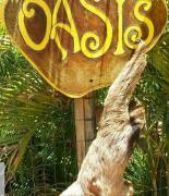 Top Praia do Forte