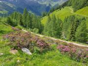 Top Innervillgraten
