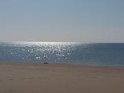 Top Marina di Pisticci